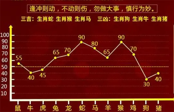 一肖一码一一肖一子，坚实的释义、解释与落实