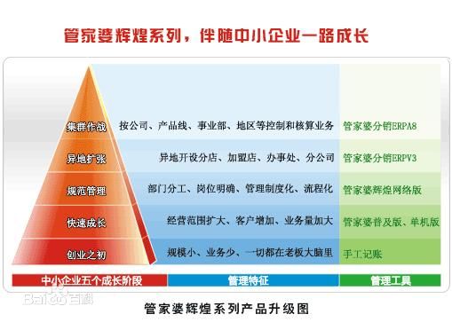 关于精准管家婆与尊严释义的深入解读与实施策略