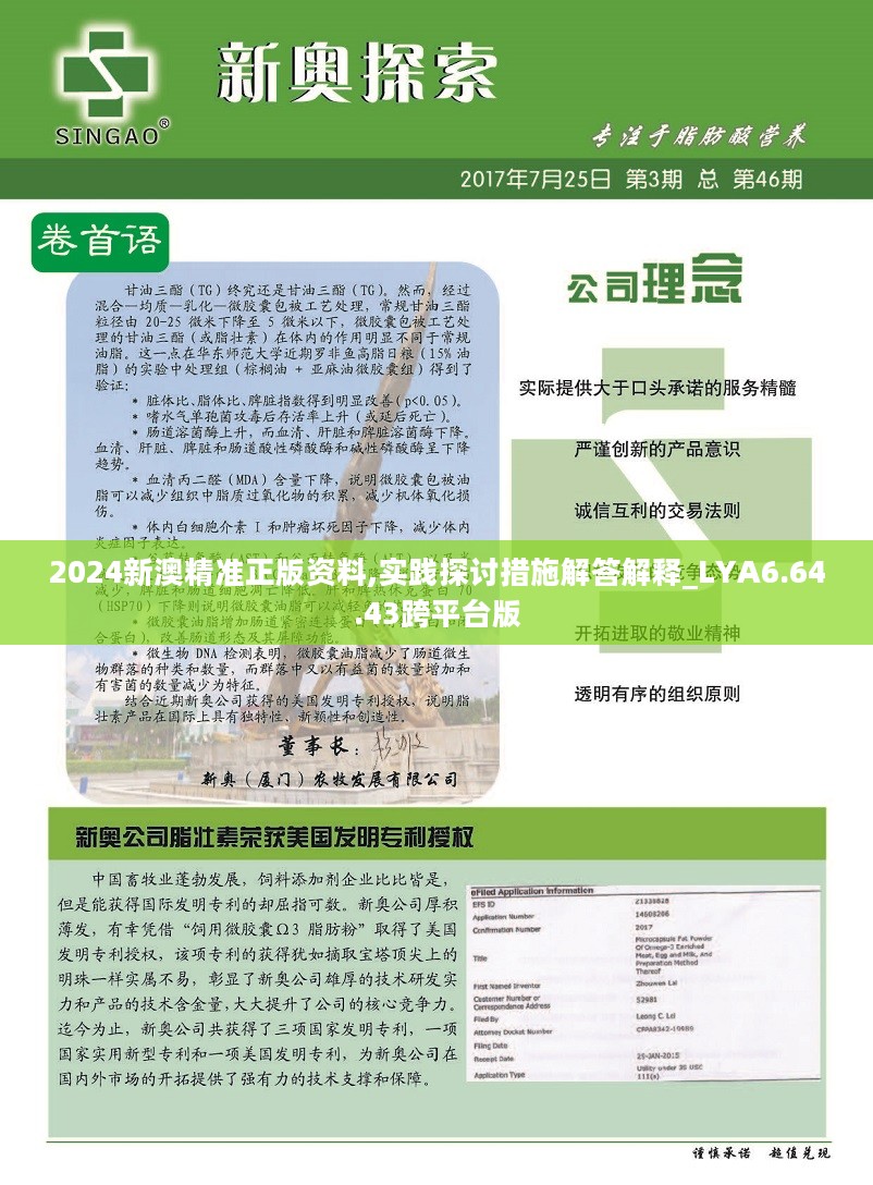 新澳2025年精准资料220期，工具释义解释落实的重要性与方法