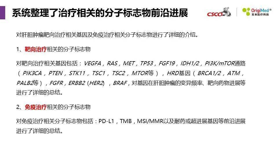 澳门精准正版探索与释义解释落实的探讨（2025展望）