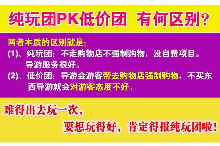 新澳天天开奖资料大全第262期，聚焦释义解释落实