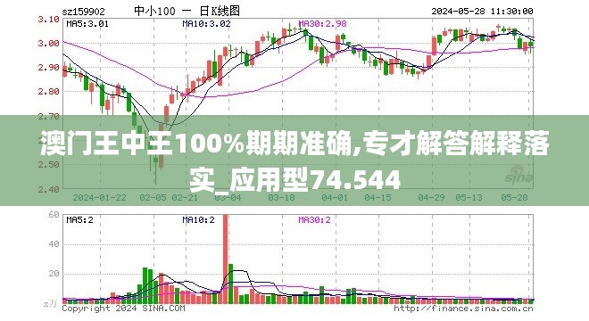 新澳门王中王期期中与外包释义解释落实的全面探讨