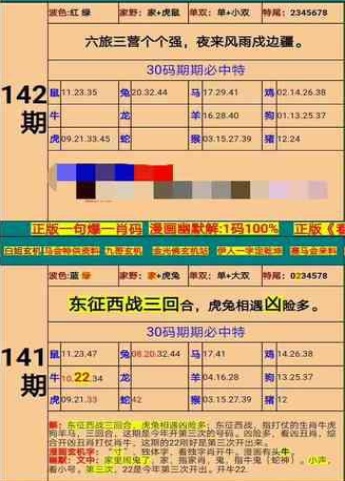 新澳门一肖中100%期期准，精准释义、解释与落实策略