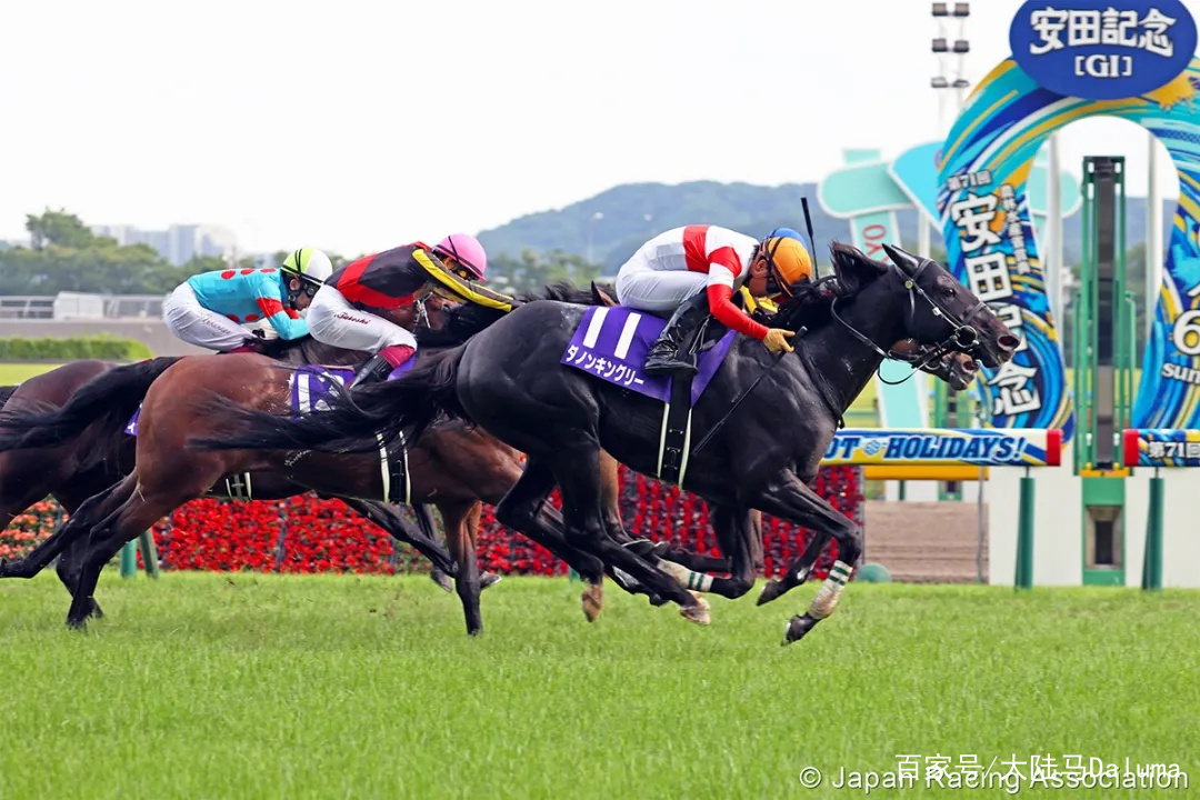 香港特马资料王中王与纯熟释义解释落实的深度解析