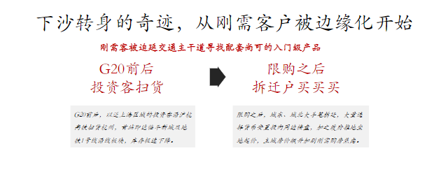 新澳天天开奖资料大全第103期，提升释义解释落实的重要性与实践