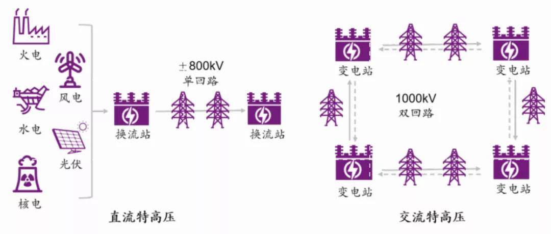 三肖必中特三肖三码免费公开，深度解读与实际应用