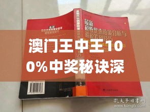 澳门王中王与环境释义解释落实，深度探讨与实践路径