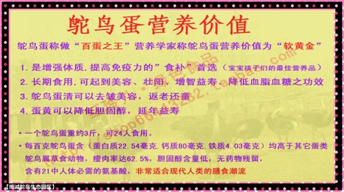 澳门特马今晚开奖53期，共同释义与落实的重要性