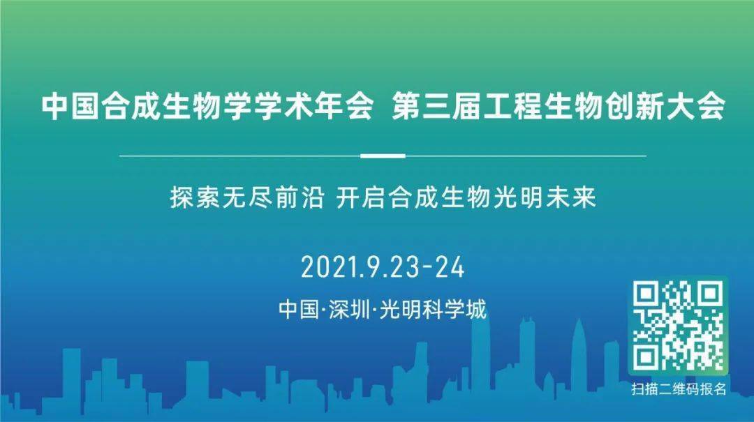 探索未来，关于新澳资料大全的免费下载与独特释义解释落实