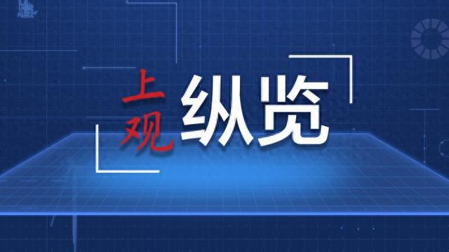 澳门精准正版与衣锦释义，深度解读与落实策略