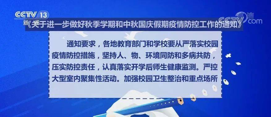 澳门正版资料解析与落实策略，迈向未来的关键解读