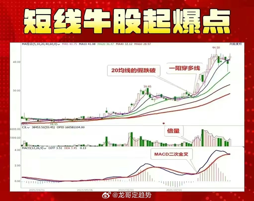 精准跑狗图与线自释义解释落实，探索数字背后的奥秘